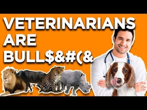 Are Veterinarians Worth It Compared to Working Dogs? thumbnail