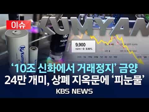 금양 주가 급등 후 붕괴의 핵심은 무엇인가? 2차전지 대장주 이야기 thumbnail