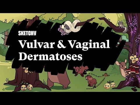 Vulvar & Vaginal Dermatoses (Full Lesson) | Sketchy Medical | USMLE Step 2 CK thumbnail