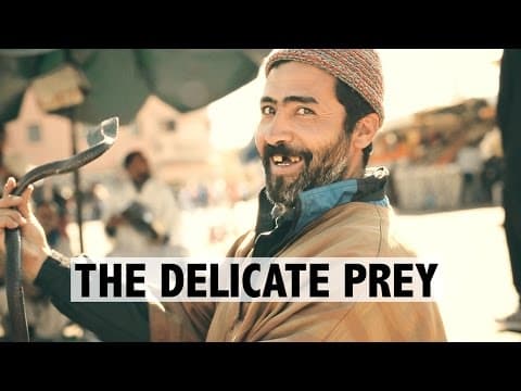 What Happens in Paul Bowles' The Delicate Prey? thumbnail
