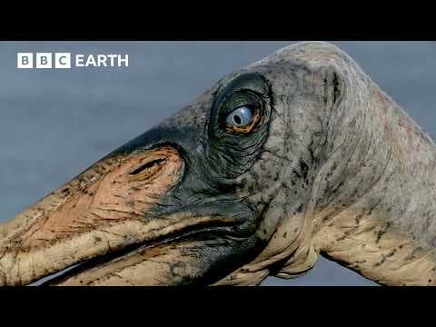 Iconic Dinosaur Moments from Walking With Dinosaurs (1999) | BBC Earth thumbnail