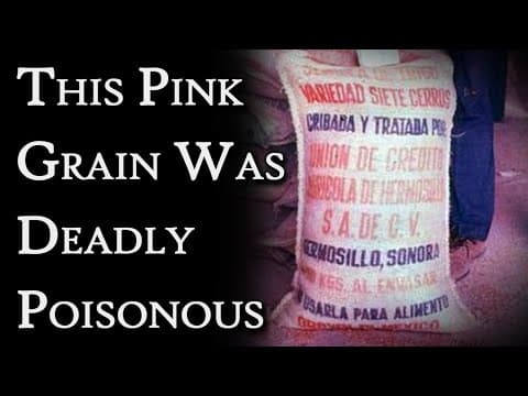 They Ate Grain Coated in Mercury: The Iraq Poison Grain Disaster | Fascinating Horror thumbnail