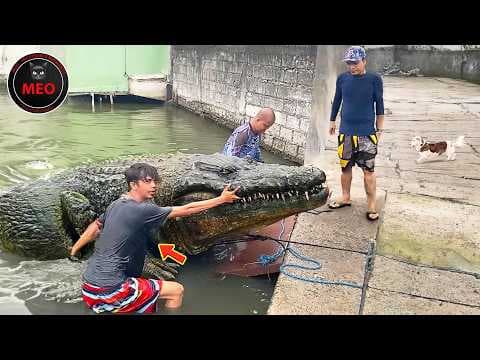 Incredible Moments Caught on Camera  (P170) thumbnail