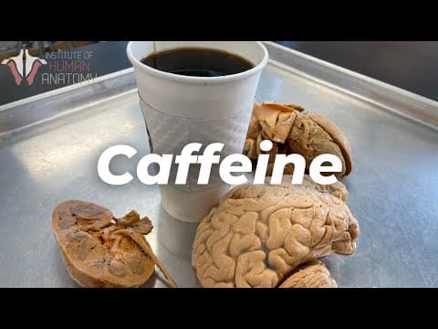 How Does Caffeine Impact Your Body? thumbnail
