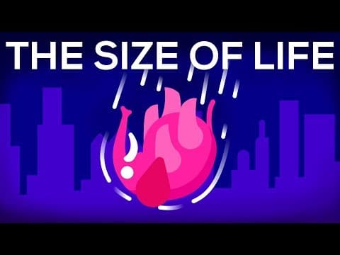 How Does Size Affect Animal Survival From Falls? thumbnail
