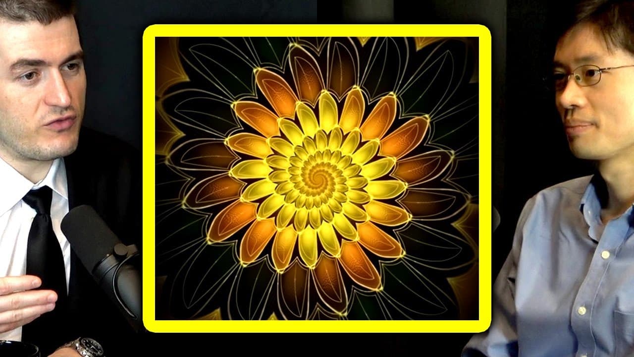 YouTube video player