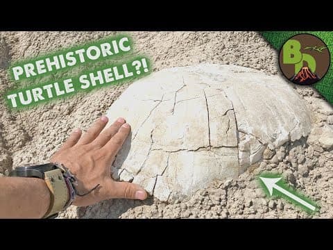Unearthing a Prehistoric Turtle! thumbnail