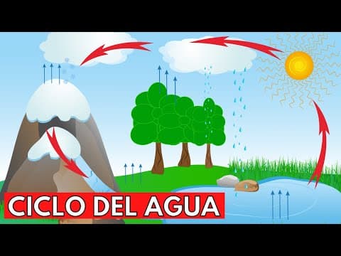 ¿Qué es el CICLO DEL AGUA y cuáles son sus ETAPAS?⛰️💧☀️ thumbnail