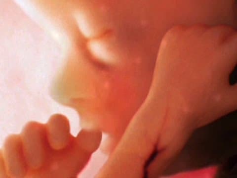 Conception to birth -- visualized | Alexander Tsiaras thumbnail
