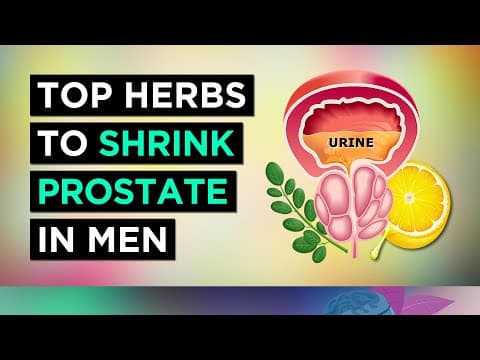 The Best Herbs To TREAT Enlarged Prostate (BPH) thumbnail