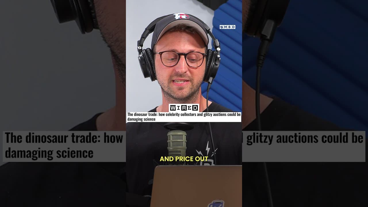 YouTube video player