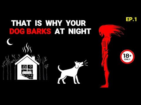If Your Dog Starts Barking at Night… LOCK The Door - Analog Horror thumbnail