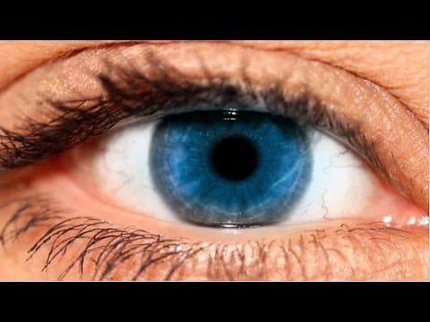 You're It - Alan Watts thumbnail