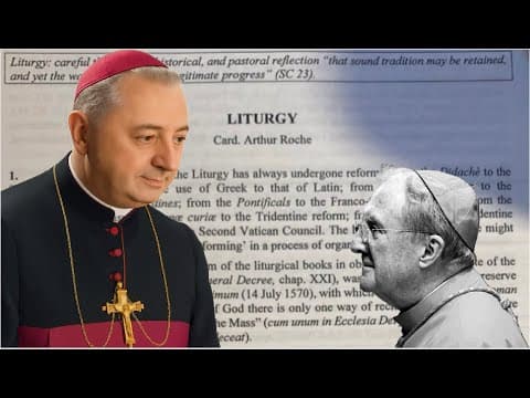 Cardinal Roche's consistory letter, which the Cardinals did not want to discuss. thumbnail