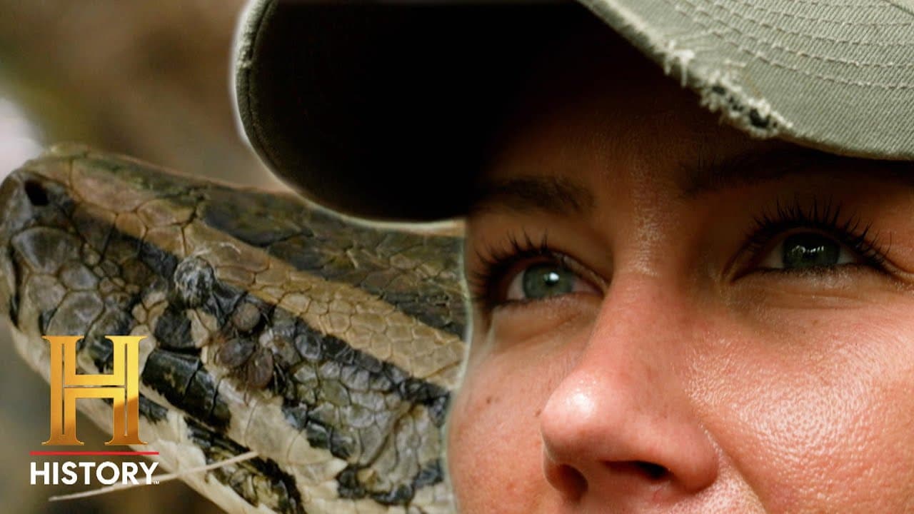 Python Hotspot Has BIZARRE History | Swamp People: Serpent Invasion (S4 ...