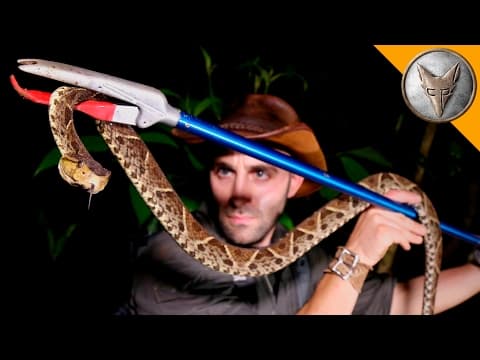 What Makes the Fer-de-Lance the Most Dangerous Snake? thumbnail