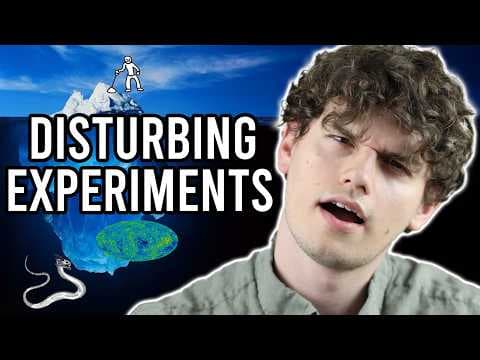 The Philosophical Paradox Iceberg Explained thumbnail
