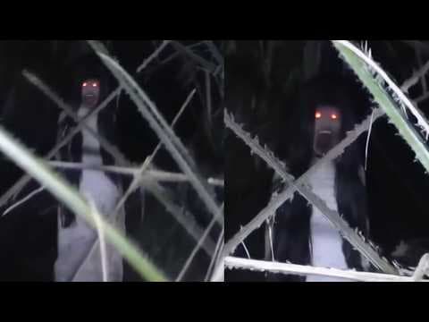 13 Scary Videos Of Ghosts That Will Change Your Mind FOREVER thumbnail