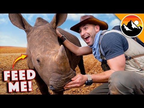 What Happens to Baby Rhinos Without Their Mothers? thumbnail