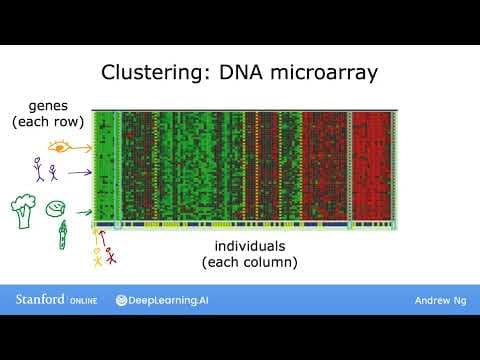 What Is Unsupervised Learning and How Does It Work? thumbnail
