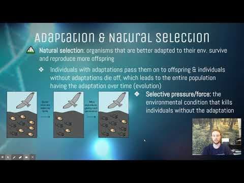 APES Notes 2.6 - Adaptations thumbnail
