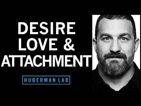 What Role Do Childhood Attachment Styles Play in Love? thumbnail