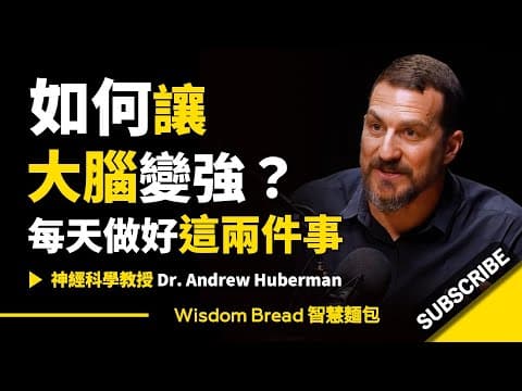 如何通过专注和休息增强大脑可塑性？ thumbnail