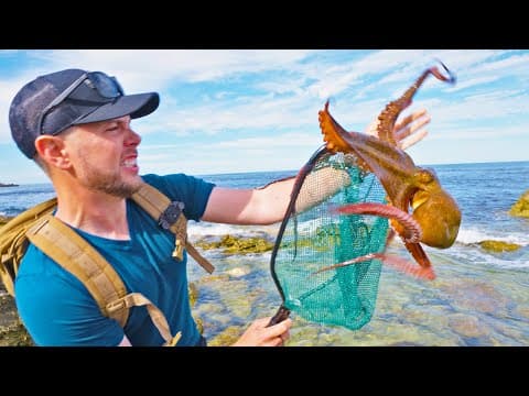 What Makes the Newly Discovered Star Octopus Unique? thumbnail