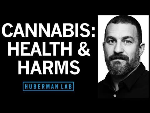The Effects of Cannabis (Marijuana) on the Brain & Body | Huberman Lab Podcast #92 thumbnail