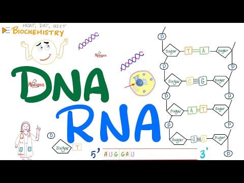 DNA & RNA - Inteoduction to Molecular Biology 🧬 thumbnail
