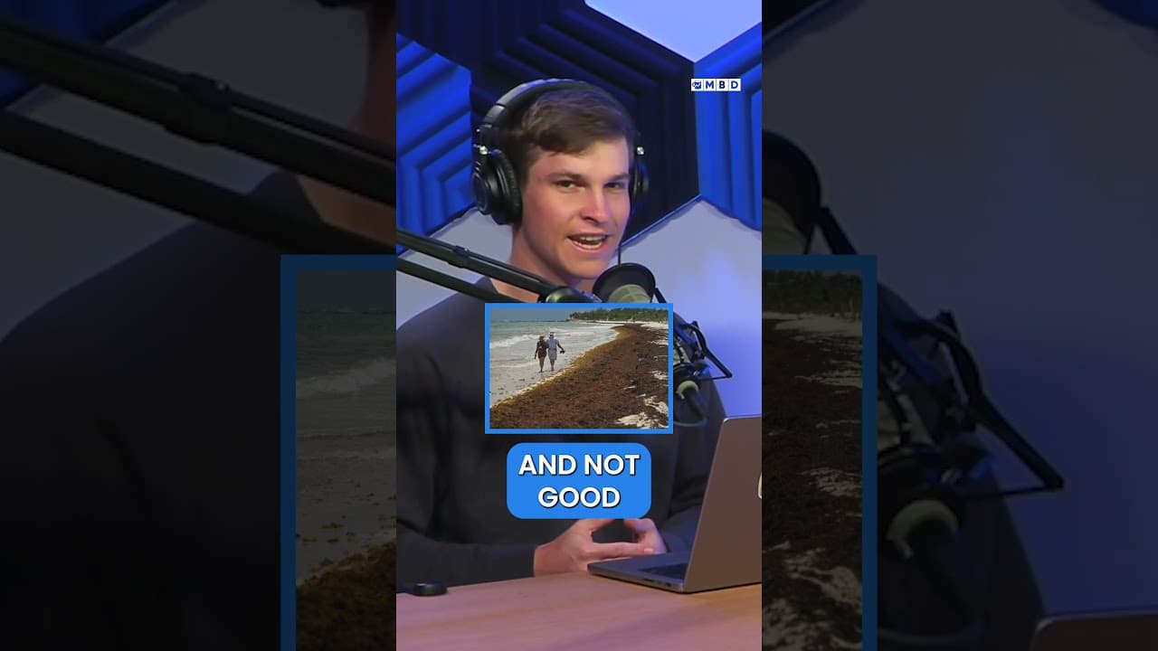 YouTube video player