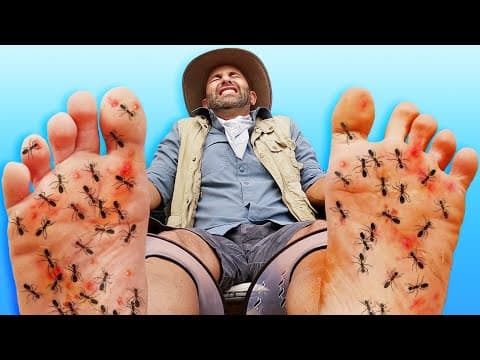 How Painful Are Harvester Ant Stings Compared to Others? thumbnail