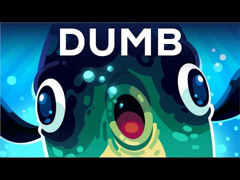The Dumbest Animal Alive thumbnail
