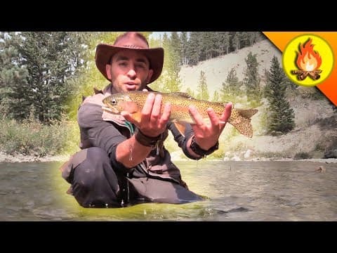 Catching Trout...THE HARD WAY! thumbnail