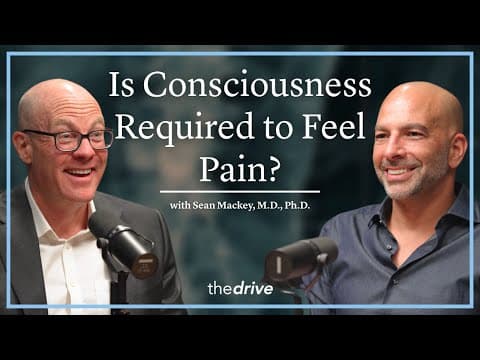 Is Consciousness Required to Feel Pain? | Sean Mackey, M.D., Ph.D. thumbnail