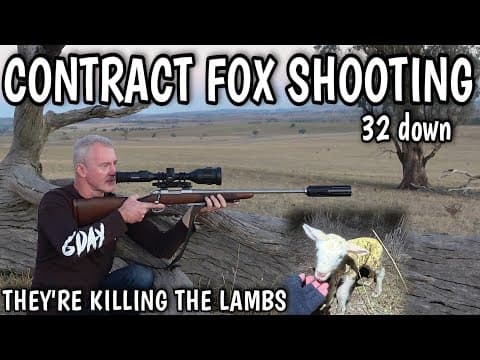 FOXES DECIMATING THE NEWBORN LAMBS || FARMER ENGAGES SHOOTER TO SORT THEM OUT ||  32 FOXES DOWN thumbnail