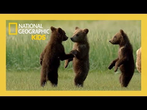 Wild Babies of America's National Parks! | Full Episode | @natgeokids thumbnail