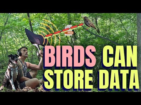 I Saved a PNG Image To A Bird thumbnail