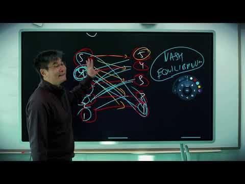 How Does Game Theory Explain Dating Choices? thumbnail
