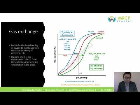What Key Concepts in Respiratory Physiology for MRCP? thumbnail