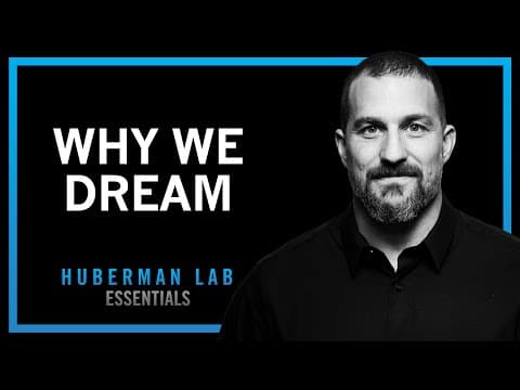 Understand and Use Dreams to Learn and Forget | Huberman Lab Essentials thumbnail