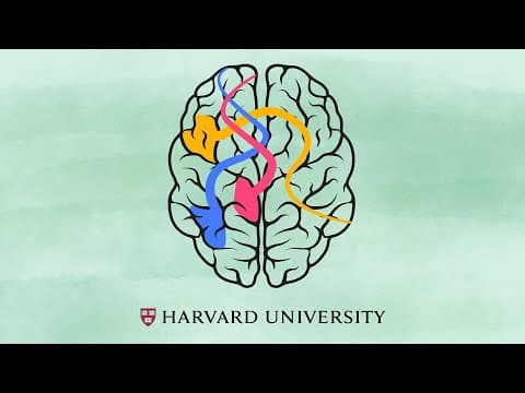 How the brain learns to read thumbnail