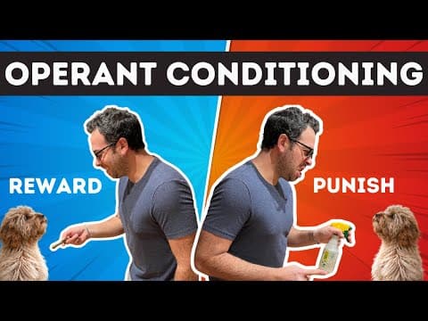 Operant Conditioning | Instrumental Learning thumbnail