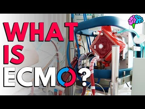 What is ECMO? The basics explained. thumbnail
