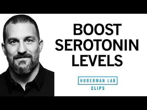 How to Improve Serotonin Levels for Depression | Dr. Andrew Huberman thumbnail