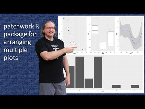 How to Arrange Multiple R Graphs Using Patchwork thumbnail