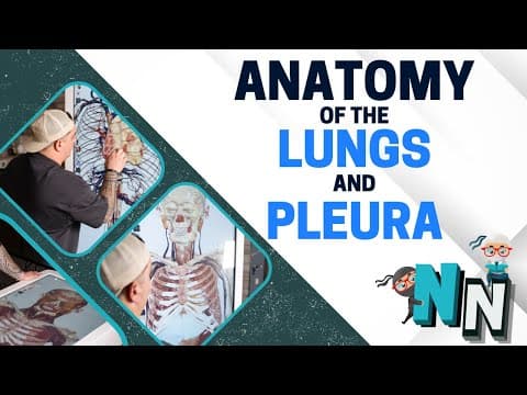 How Does Lung and Pleural Anatomy Work? thumbnail