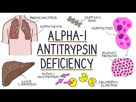 Understanding Alpha-1 Antitrypsin Deficiency thumbnail
