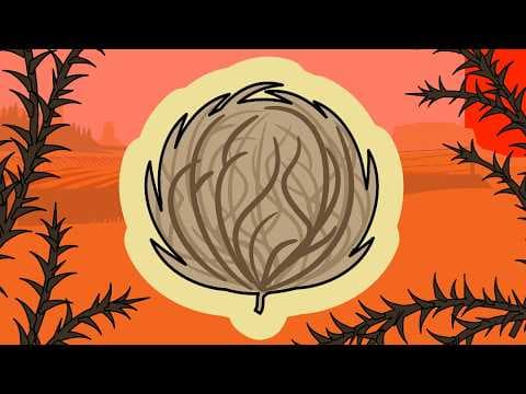 The Trouble With Tumbleweed thumbnail