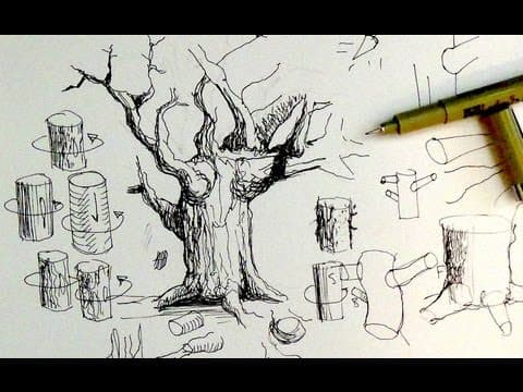 Pen & Ink Drawing Tutorials | How to draw tree trunks & branches thumbnail